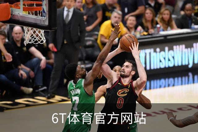 6T体育官方网站公司简介展示图